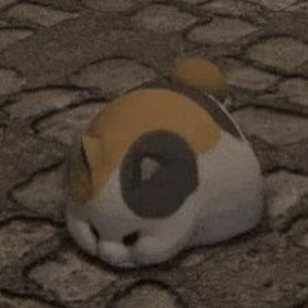 Meet your Posher, Sami